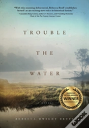Capa do artigo Trouble The Water
