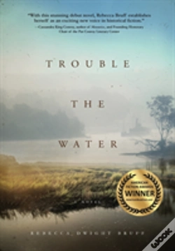 Capa do artigo Trouble The Water