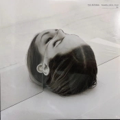 Capa do artigo Trouble Will Find Me - Vinil