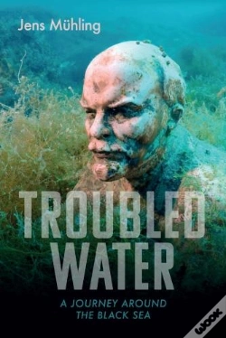 Capa do artigo Troubled Water