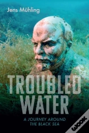Capa do artigo Troubled Water