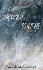 Troubled Waters - Preview