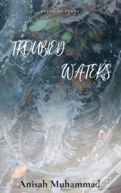 Capa do artigo Troubled Waters