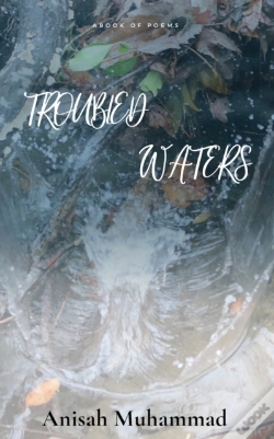 Capa do artigo Troubled Waters