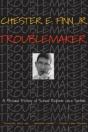 Troublemaker - Preview