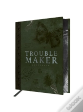 Troublemaker : Intégrale
