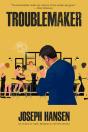 Troublemaker - Preview