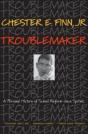 Troublemaker - Preview