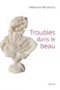 Troubles Dans Le Beau - Preview