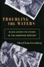 Troubling The Waters - Preview