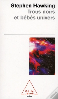 Capa do artigo Trous Noirs Et Bébés Univers
