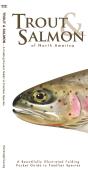 Trout & Salmon - Preview
