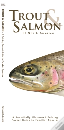 Capa do artigo Trout & Salmon
