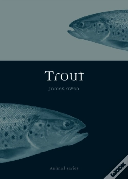 Capa do artigo Trout