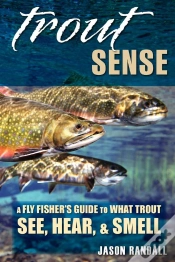 Capa do artigo Trout Sense