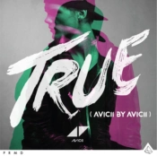 Capa do artigo TRUE (Avicii By Avicii) - CD