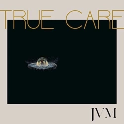 Capa do artigo True Care - Vinil