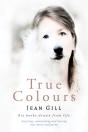 True Colours - Preview