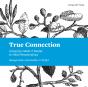 True Connection - Preview