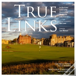 Capa do artigo True Links