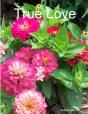 True Love - Preview