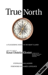 True North: A Flickering Soul In No Man'