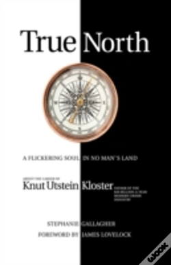 Capa do artigo True North: A Flickering Soul In No Man'