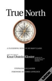 Capa do artigo True North: A Flickering Soul In No Man