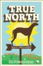 True North - Preview