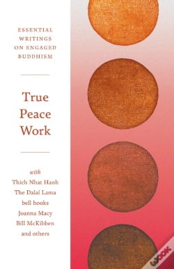 Capa do artigo True Peace Work