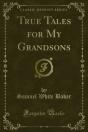 True Tales For My Grandsons - Preview
