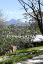 True Tomewin Tales - Preview