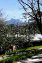 True Tomewin Tales - Preview