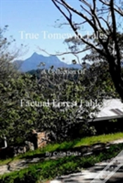Capa do artigo True Tomewin Tales