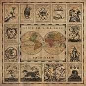 Capa do artigo True View - Vinil