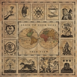 Capa do artigo True View - Vinil