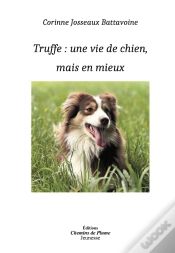 Capa do artigo Truffe : Une Vie De Chien, Mais En Mieux