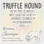 Truffle Hound - Preview