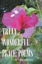 Truly Wonderful Place: Poems - Preview