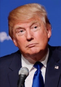 Trump - Preview