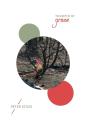 Trumped By Grace - Preview