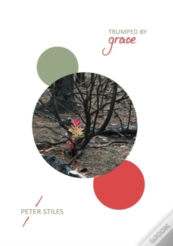 Capa do artigo Trumped By Grace