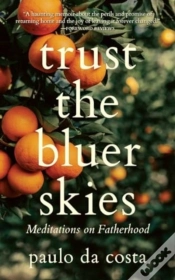 Capa do artigo Trust The Bluer Skies