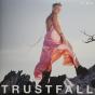 Trustfall - Vinil - Preview