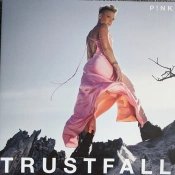 Capa do artigo Trustfall - Vinil