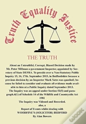 Capa do artigo Truth Equality Justice