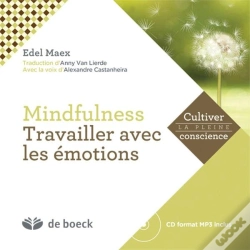 Capa do artigo Trvailler Les Émotions En Pleine Conscience