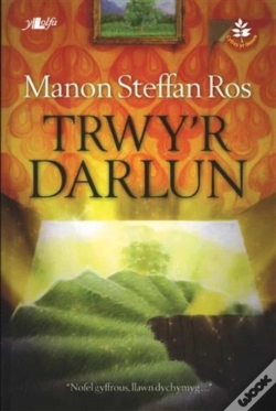 Capa do artigo Trwy'R Darlun