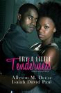 Try A Little Tenderness - Preview