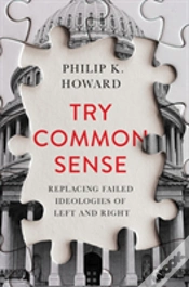 Capa do artigo Try Common Sense - Replacing The Failed Ideologies Of Right And Left